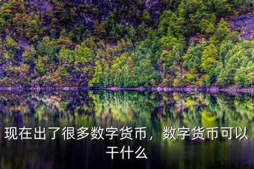 現(xiàn)在出了很多數(shù)字貨幣，數(shù)字貨幣可以干什么