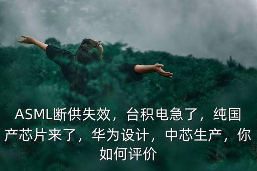 ASML斷供失效，臺積電急了，純國產芯片來了，華為設計，中芯生產，你如何評價