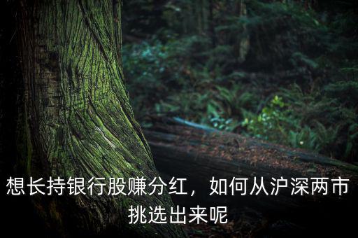 想長持銀行股賺分紅，如何從滬深兩市挑選出來呢