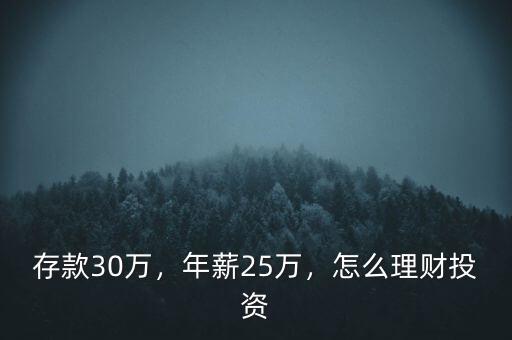 存款30萬，年薪25萬，怎么理財投資