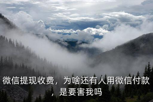 微信提現(xiàn)收費(fèi)，為啥還有人用微信付款，是要害我嗎