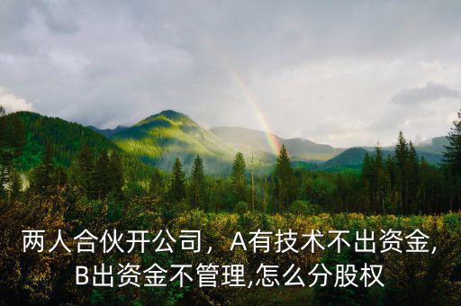 兩人合伙開公司，A有技術(shù)不出資金,B出資金不管理,怎么分股權(quán)