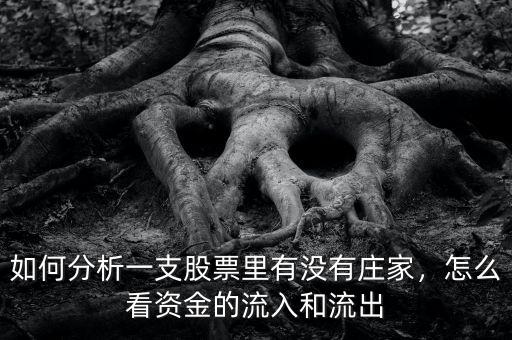 如何分析一支股票里有沒(méi)有莊家，怎么看資金的流入和流出