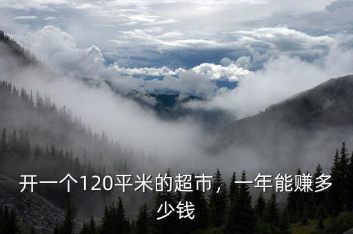 開一個120平米的超市，一年能賺多少錢