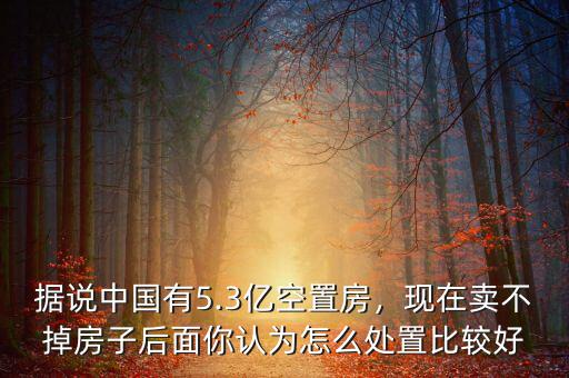 據(jù)說(shuō)中國(guó)有5.3億空置房，現(xiàn)在賣(mài)不掉房子后面你認(rèn)為怎么處置比較好