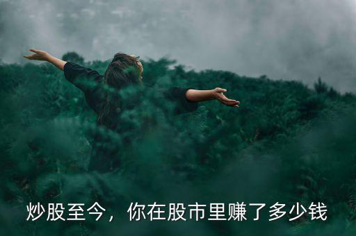 炒股至今，你在股市里賺了多少錢