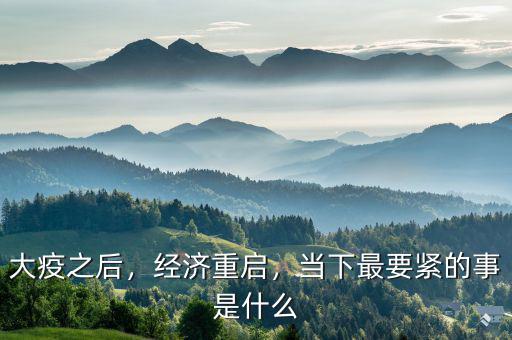 大疫之后，經(jīng)濟重啟，當下最要緊的事是什么