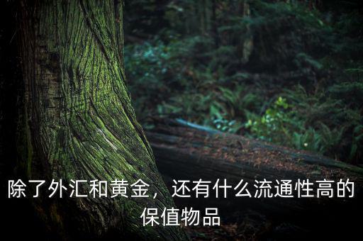 除了外匯和黃金，還有什么流通性高的保值物品