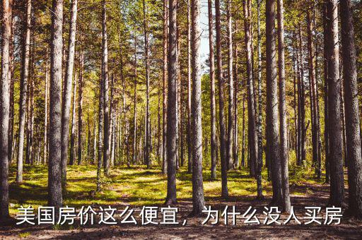 美國(guó)房?jī)r(jià)這么便宜，為什么沒(méi)人買房