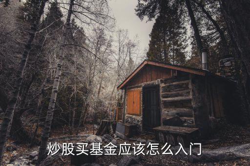 股票怎么買基金,炒股買基金應(yīng)該怎么入門(mén)