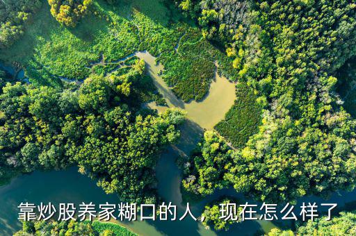 靠炒股養(yǎng)家糊口的人，現(xiàn)在怎么樣了