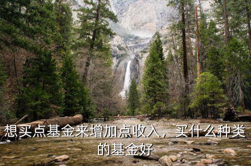 想買點基金來增加點收入，買什么種類的基金好