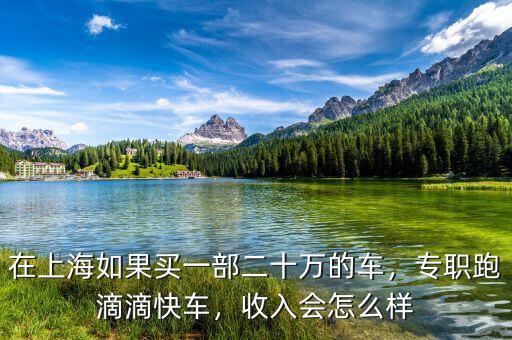 在上海如果買(mǎi)一部二十萬(wàn)的車，專職跑滴滴快車，收入會(huì)怎么樣