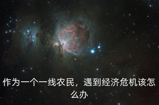 作為一個(gè)一線(xiàn)農(nóng)民，遇到經(jīng)濟(jì)危機(jī)該怎么辦