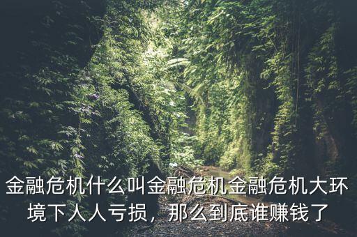 金融危機(jī)什么叫金融危機(jī)金融危機(jī)大環(huán)境下人人虧損，那么到底誰(shuí)賺錢了