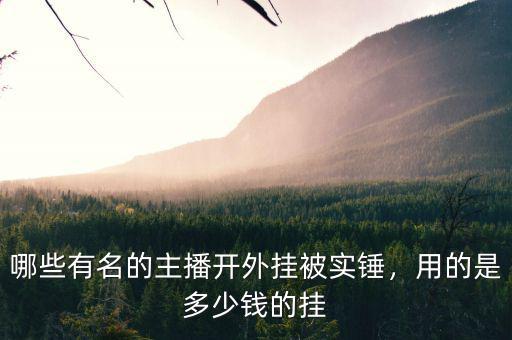 哪些有名的主播開外掛被實錘，用的是多少錢的掛