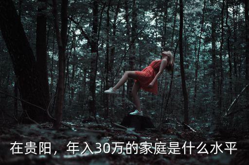 在貴陽(yáng)，年入30萬(wàn)的家庭是什么水平