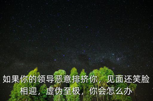 如果你的領(lǐng)導(dǎo)惡意排擠你，見(jiàn)面還笑臉相迎，虛偽至極，你會(huì)怎么辦
