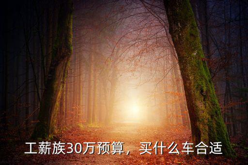 工薪族30萬預(yù)算，買什么車合適