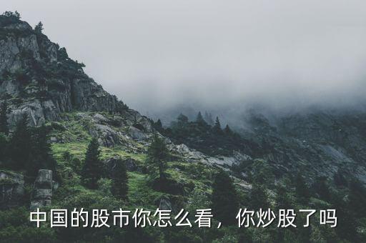中國(guó)的股市你怎么看，你炒股了嗎