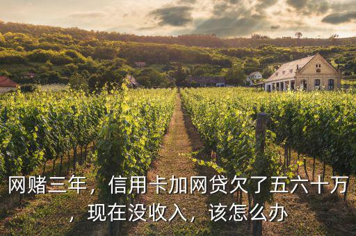 網(wǎng)賭三年，信用卡加網(wǎng)貸欠了五六十萬，現(xiàn)在沒收入，該怎么辦
