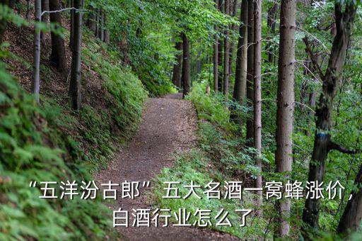 “五洋汾古郎”五大名酒一窩蜂漲價，白酒行業(yè)怎么了