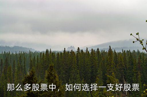 那么多股票中，如何選擇一支好股票