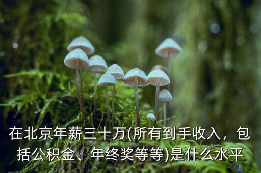 在北京年薪三十萬(所有到手收入，包括公積金、年終獎(jiǎng)等等)是什么水平