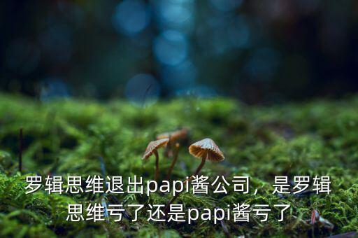 羅輯思維退出papi醬公司，是羅輯思維虧了還是papi醬虧了