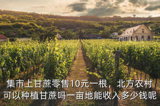 集市上甘蔗零售10元一根，北方農(nóng)村可以種植甘蔗嗎一畝地能收入多少錢呢