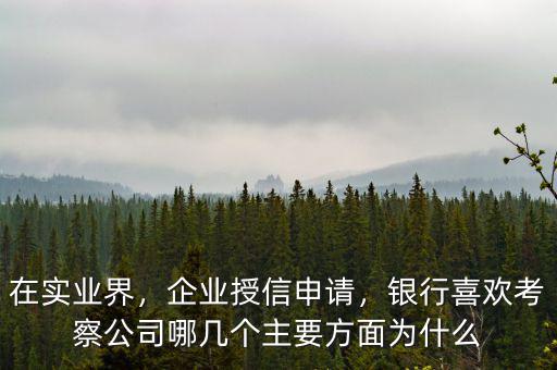 在實(shí)業(yè)界，企業(yè)授信申請，銀行喜歡考察公司哪幾個主要方面為什么