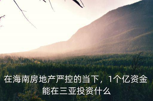 在海南房地產(chǎn)嚴(yán)控的當(dāng)下，1個(gè)億資金能在三亞投資什么