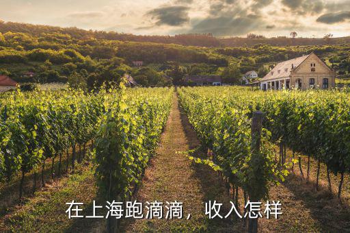 在上海跑滴滴，收入怎樣