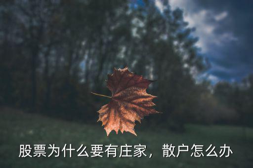 股票為什么要有莊家，散戶怎么辦