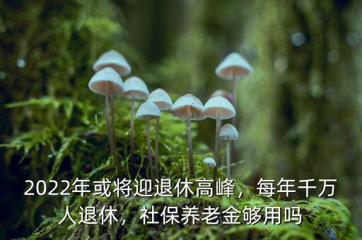 2022年或?qū)⒂诵莞叻?，每年千萬人退休，社保養(yǎng)老金夠用嗎