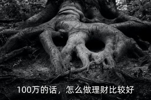 100萬的話，怎么做理財(cái)比較好