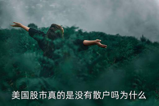 美國(guó)股市真的是沒(méi)有散戶(hù)嗎為什么
