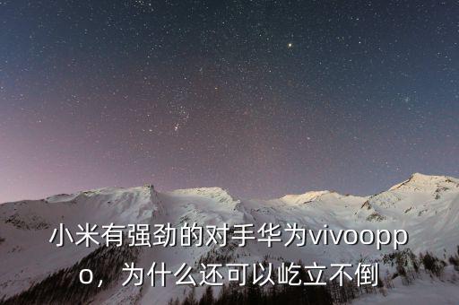 小米有強(qiáng)勁的對(duì)手華為vivooppo，為什么還可以屹立不倒