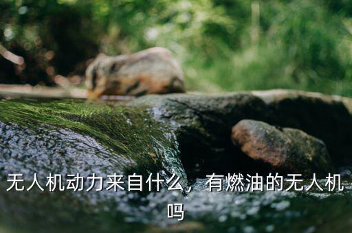 無人機(jī)動力來自什么，有燃油的無人機(jī)嗎