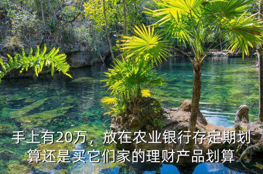 手上有20萬，放在農(nóng)業(yè)銀行存定期劃算還是買它們家的理財產(chǎn)品劃算