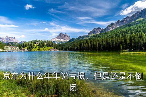 京東為什么年年說虧損，但是還是不倒閉