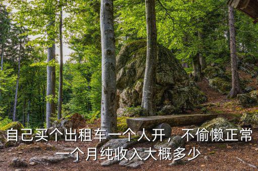 自己買個(gè)出租車一個(gè)人開，不偷懶正常一個(gè)月純收入大概多少