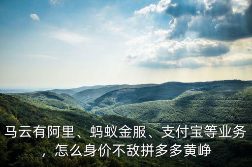 馬云有阿里、螞蟻金服、支付寶等業(yè)務(wù)，怎么身價(jià)不敵拼多多黃崢