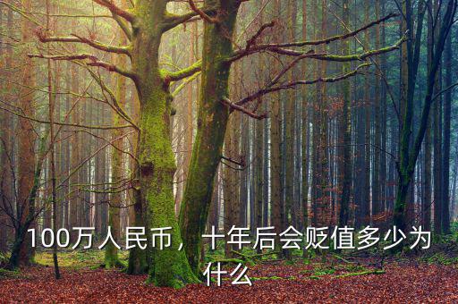 100萬人民幣，十年后會貶值多少為什么