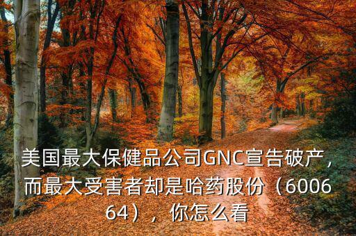 美國最大保健品公司GNC宣告破產(chǎn)，而最大受害者卻是哈藥股份（600664），你怎么看