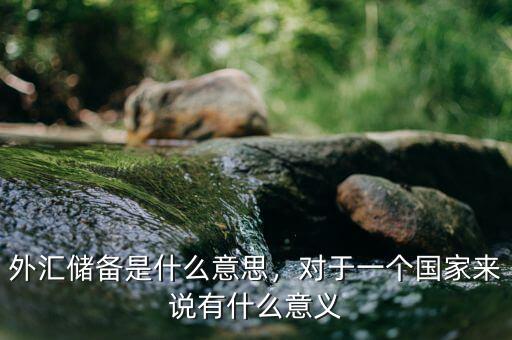 外匯儲(chǔ)備是什么意思，對(duì)于一個(gè)國(guó)家來說有什么意義
