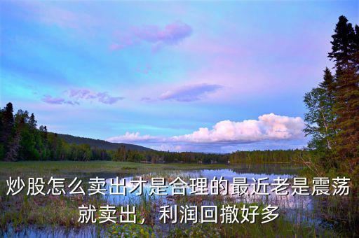 炒股怎么賣出才是合理的最近老是震蕩就賣出，利潤(rùn)回撤好多