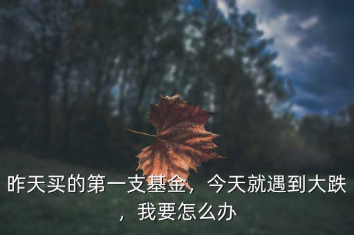 昨天買的第一支基金，今天就遇到大跌，我要怎么辦