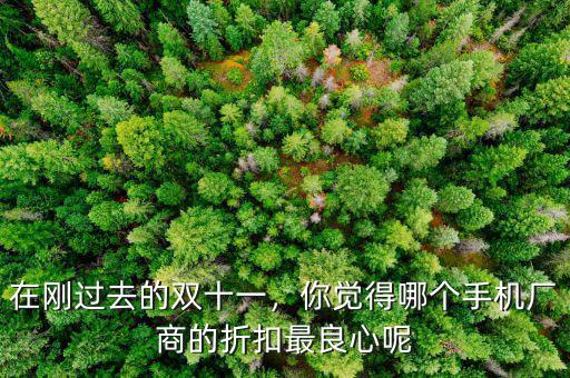 在剛過去的雙十一，你覺得哪個(gè)手機(jī)廠商的折扣最良心呢