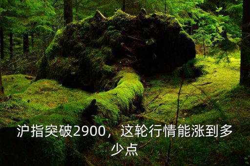 滬指突破2900，這輪行情能漲到多少點